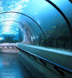 Santo Domingo - akvárium Acuario Nacional de Santo Domingo