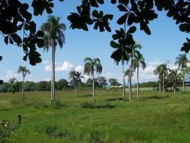 Okolí města Cotui v Dominikánské republice