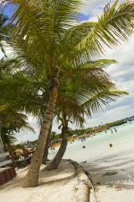 Dominikánská republika - pláž Playa Boca Chica